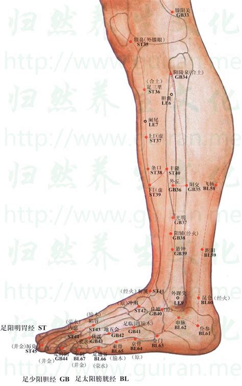 金門穴位置